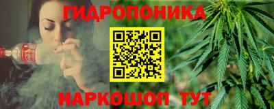 прущие грибы Балаково