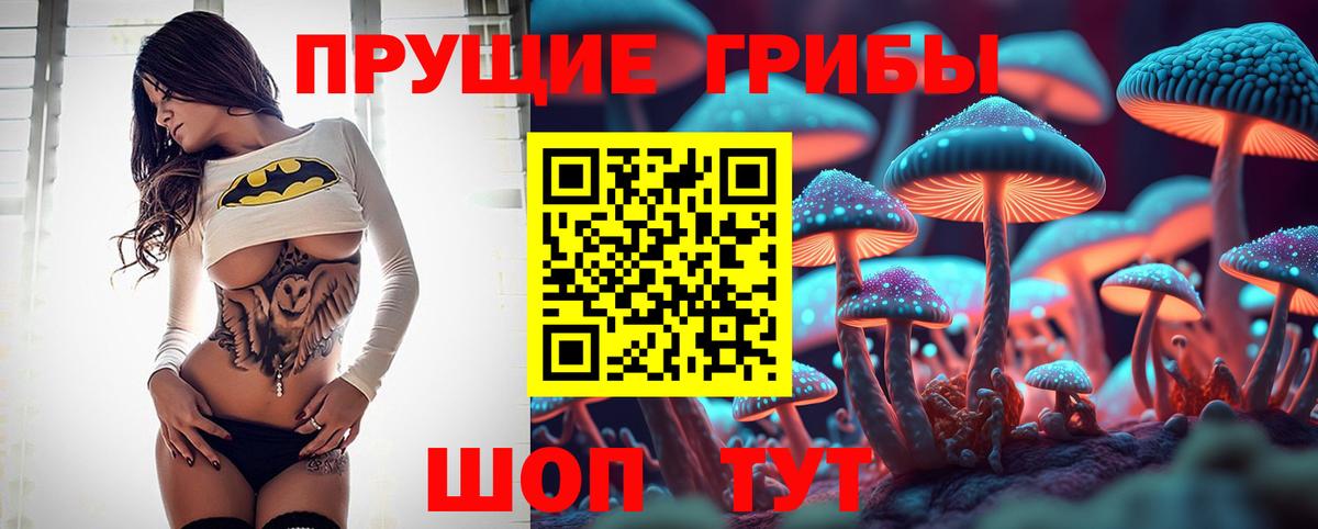 Галлюциногенные грибы прущие грибы  Ачхой-Мартан  Галлюциногенные грибы ЛСД 