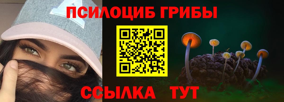 Галлюциногенные грибы Psilocybe  Псилоцибиновые грибы GOLDEN TEACHER  Вход с VPN  Ачхой-Мартан 